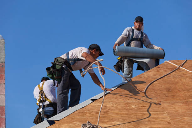 Best Metal Roofing Contractor  in Bossier City, LA